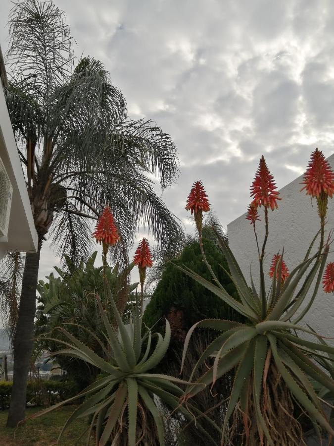 Palm View Guest House Pretoria-Noord Exterior foto